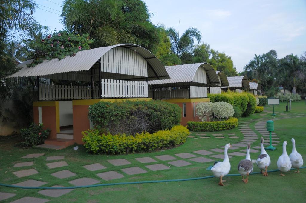 Hotel Le Ruchi The Prince Mysore Esterno foto
